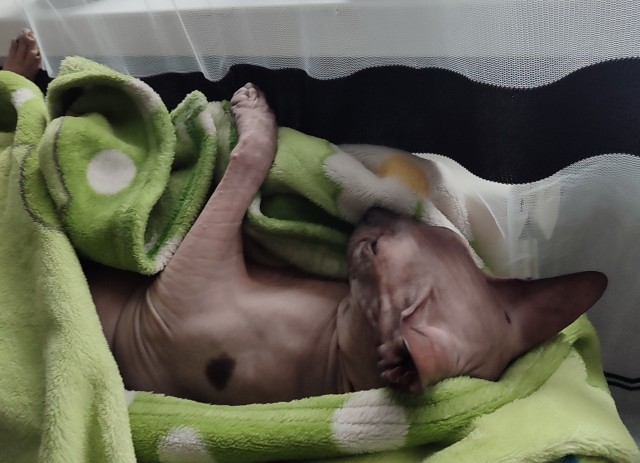 Идите нафиг с этой вашей зимой