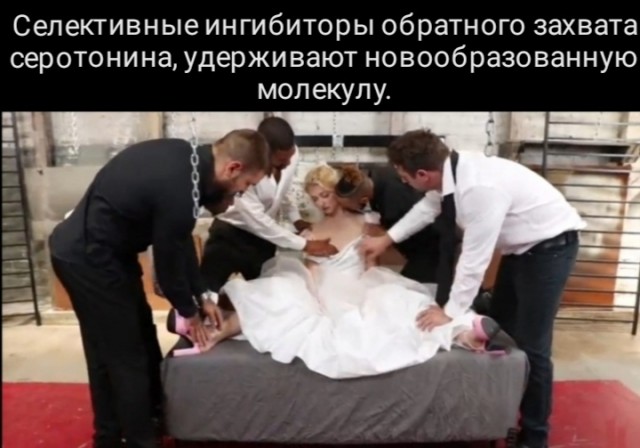 Чёрно-пошлая деградация