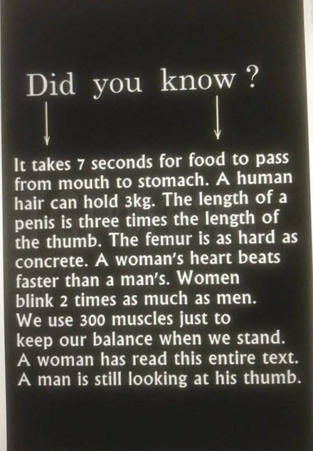 ЯП-познавательный