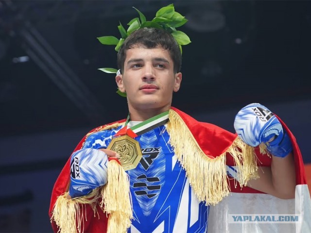Толпа айтишников жестоко расправилась с чемпионом ММА