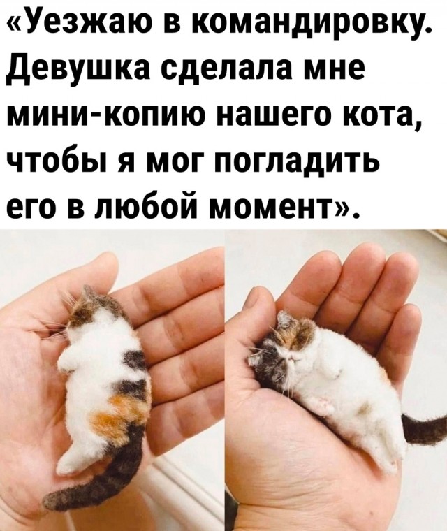 Так себе картинки 18.03.26