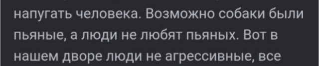 В Сочи неизвестный расстрелял бездомных собак из дробовика