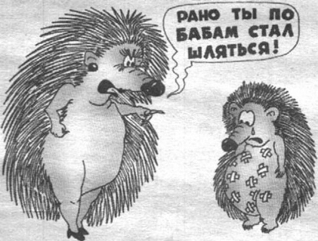 Сижу думаю... И тут началось из темноты!