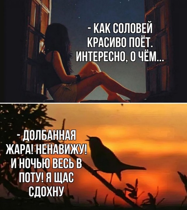 Так себе картинки 13.06.26