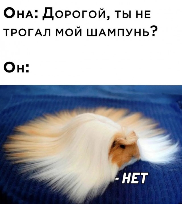 Немного картинок - продолжение 11