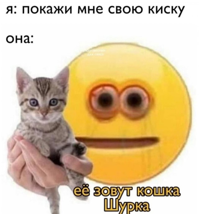 В конце девяностых Станислав Говорухин никак не мог выбрать, кто сыграет главную героиню в его новом фильме.