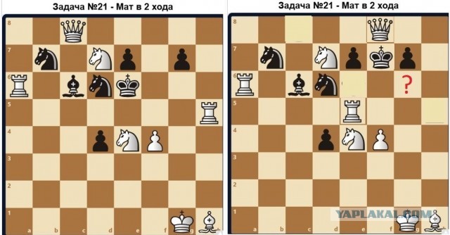 Шахматные задачи-двухходовки. Задачи 21-...