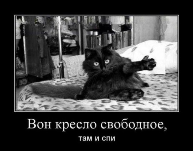 Рейдерский захват лежака