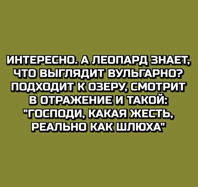 Картинки всякие разные невпопад 1.6