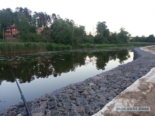 Красота природы не зависит от....
