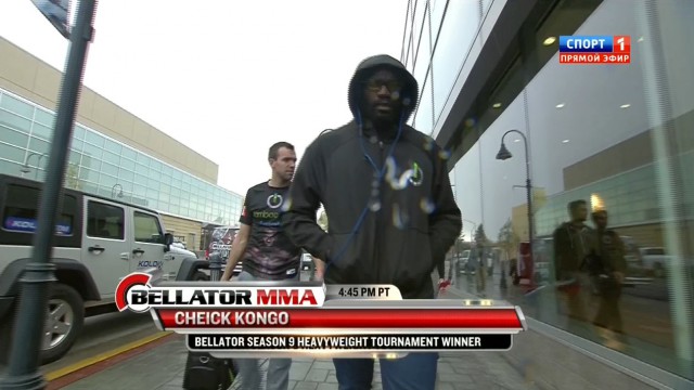БОКС/MMA....