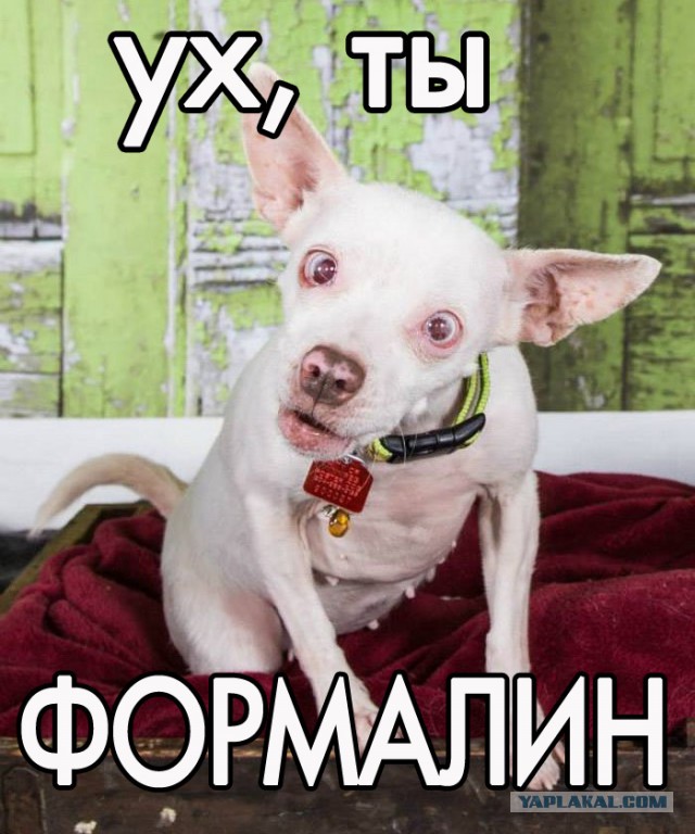 Я хочу замуж