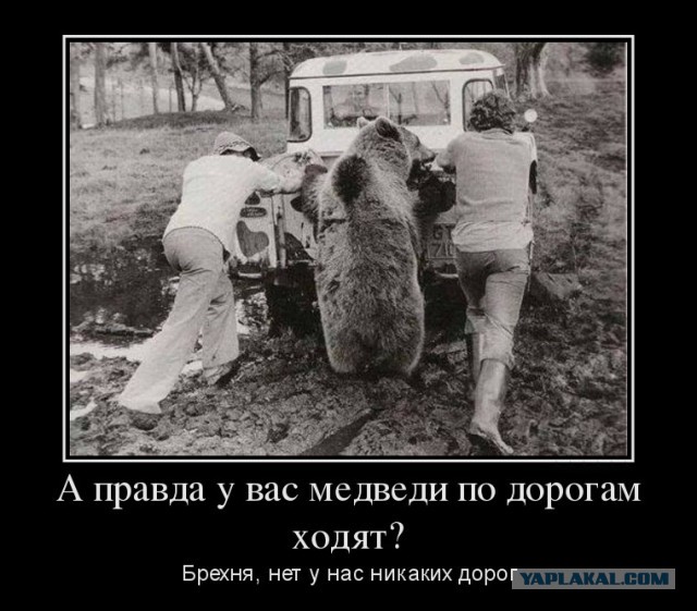 А как Вы воспитываете своего медведя?