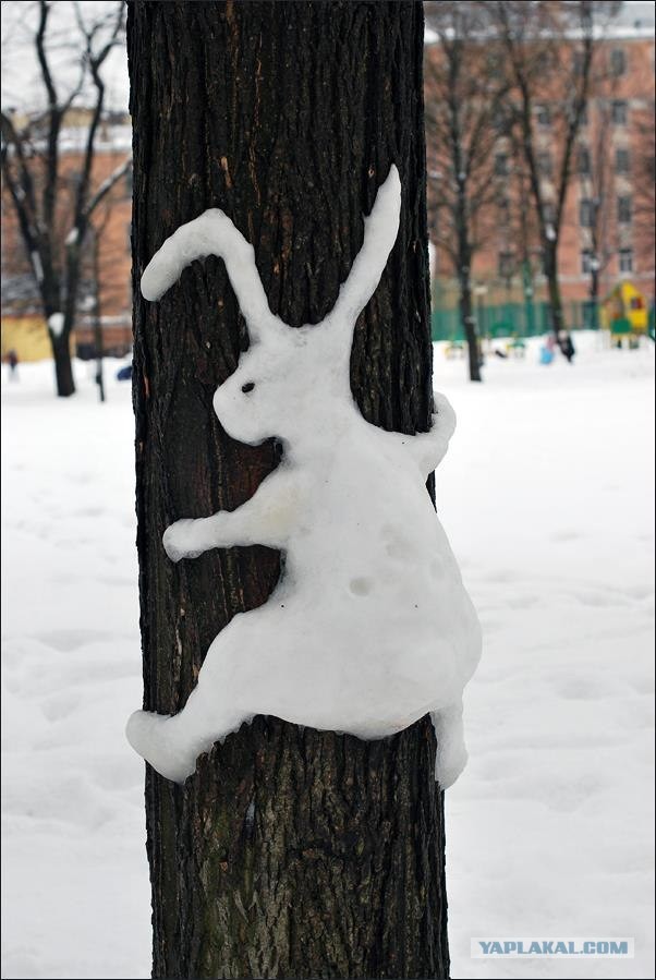 Сам белый, а хвост пупочкой?