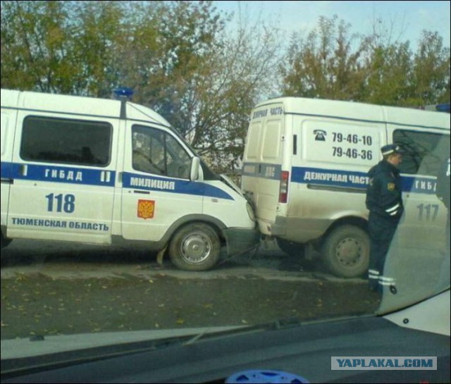 Веселые картинки