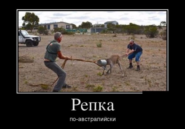 Картинки с просторов на четверг