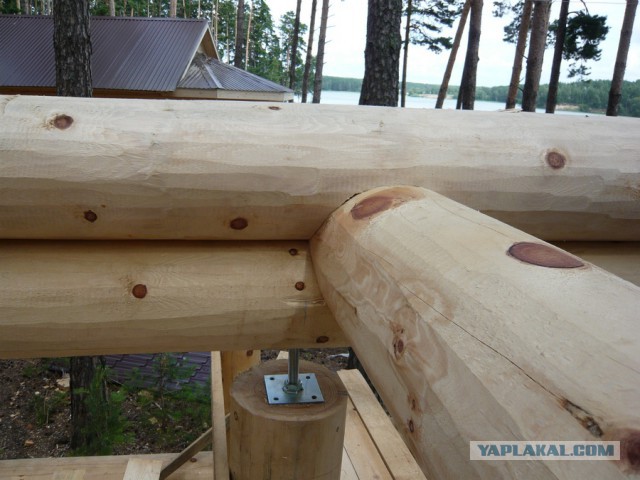Строительство рубленной бани из кедра