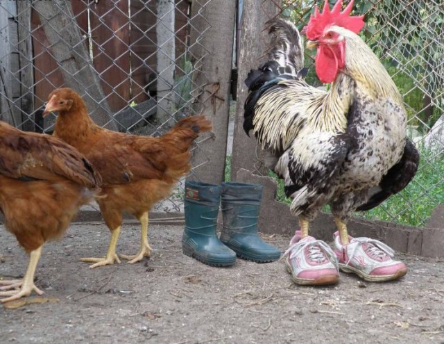 Картинки разные с просторов
