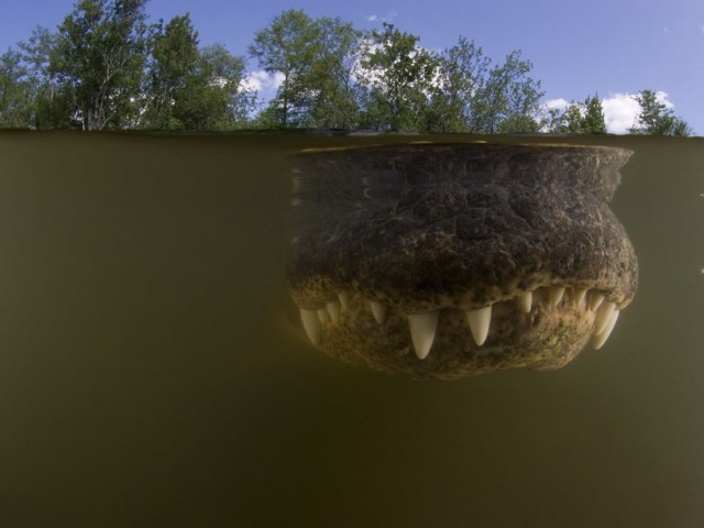 National Geographic: лучшие фото путешественников