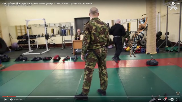 Как побить боксера и каратиста на улице:советы инструктора спецназа