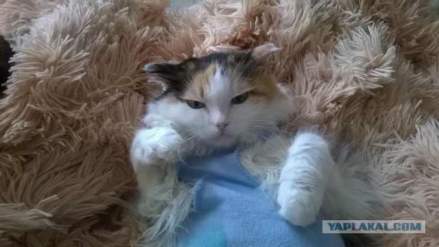 Те, которым мы помогли.
