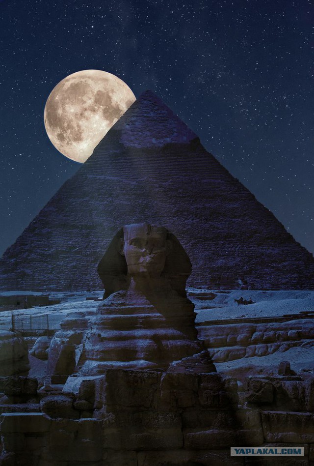 Подборка картинок 04.03.16