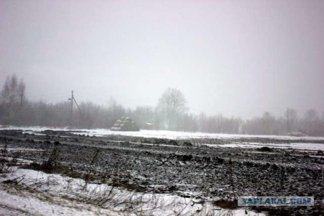 Сельскохозяйственный эксперимент ч. 5