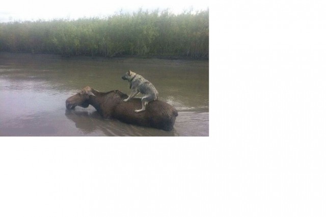 Подборка интересных и веселых картинок