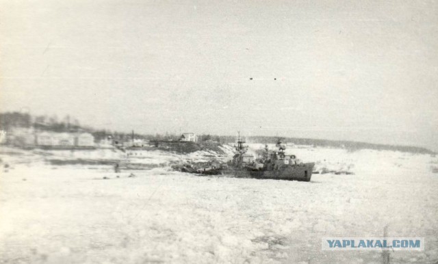 Советская Гавань. Побережье Татарского пролива - конец материка