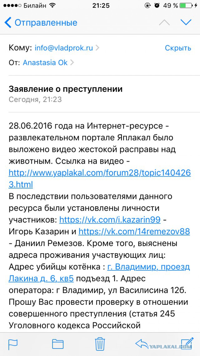 Во Владимире подростки сняли на видео жестокое убийство котёнка