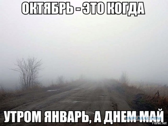 Смешные картинки из сети на 10.10.16