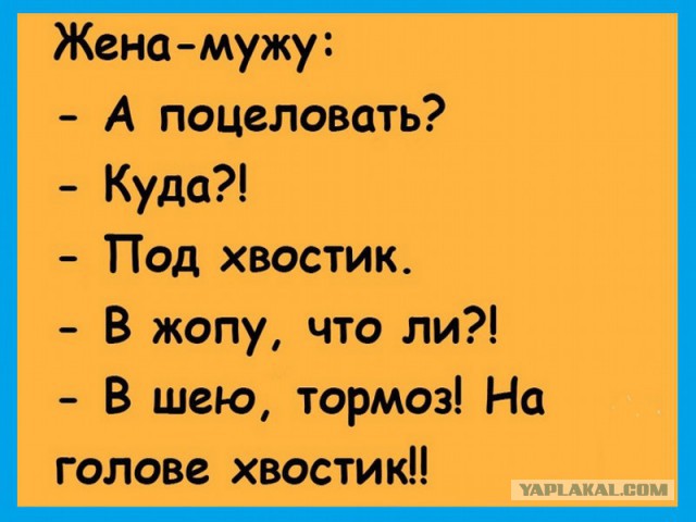 Небольшая подборка забавных картинок
