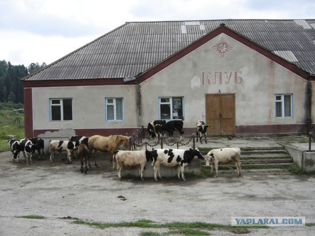 На дискотеку в соседнее село...