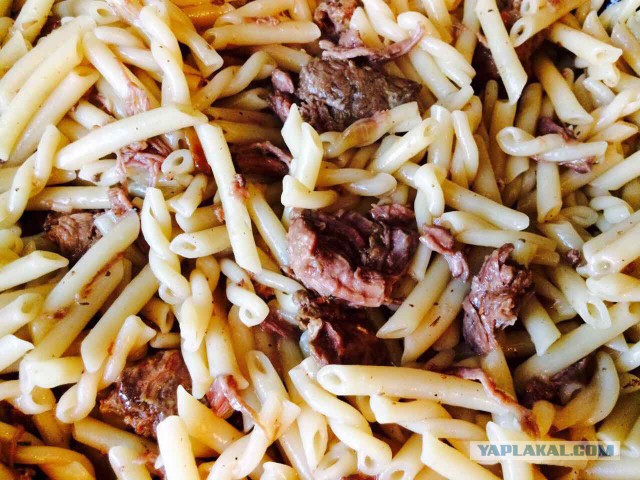 Как я сегодня не поел вкусной тушенки