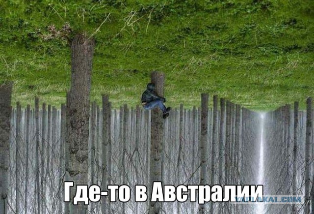 Осталось 25 дней