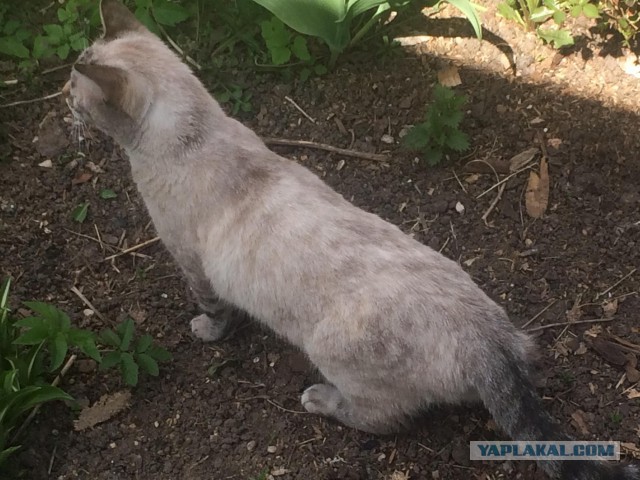 Хоккей. Межсезонье