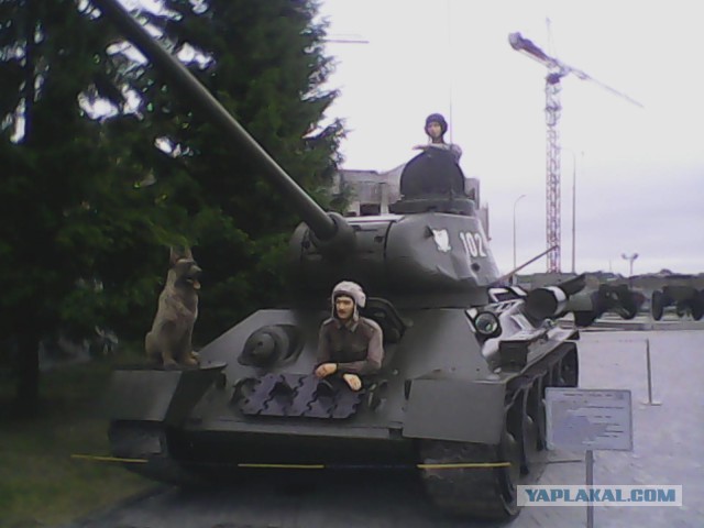 Автомобили на постаменте