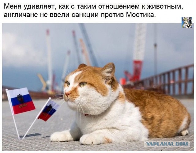 Фотовитамины