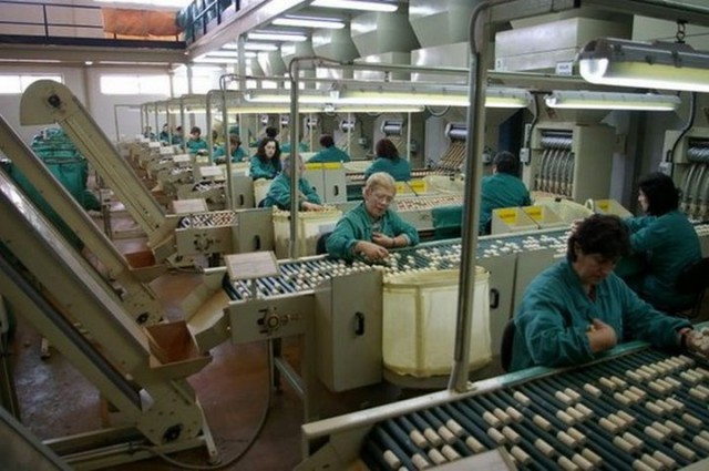 Из чего и как делают пробку