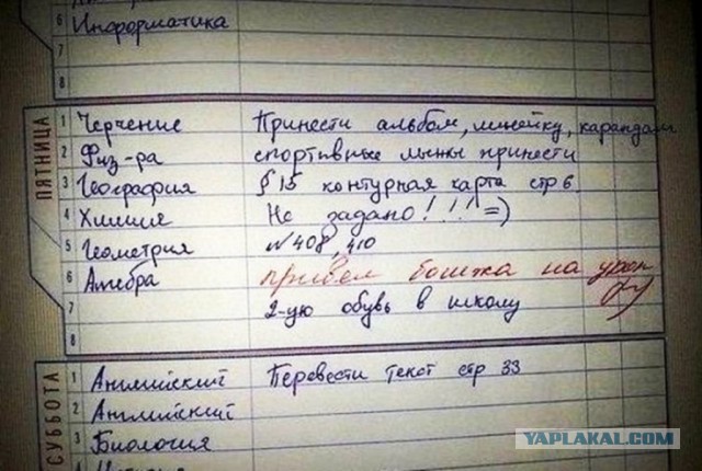 Записи в школьных дневниках и тетрадях