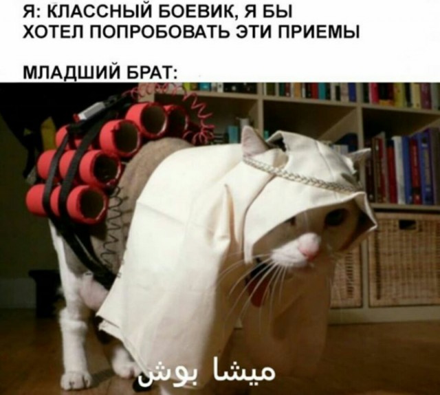 В свете последних событий