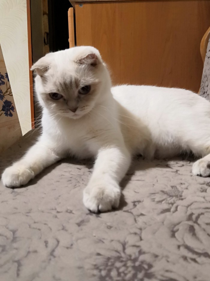 котовторник 07.05.2019