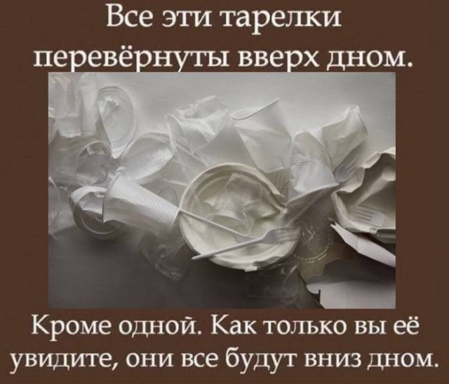 35 отборных смешнявок, от просмотра которых вам точно станет лучше
