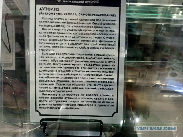 Что происходит с телом после смерти