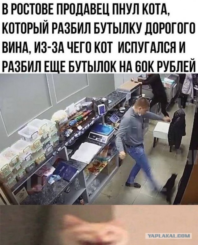 Так себе картинки 13.03.21