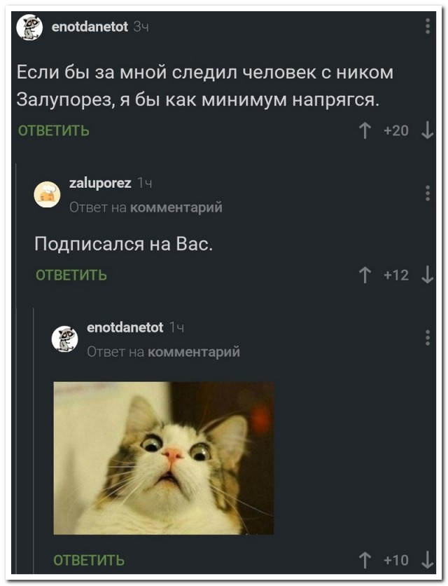 Забавные комментарии из социальных сетей (14.02.22)