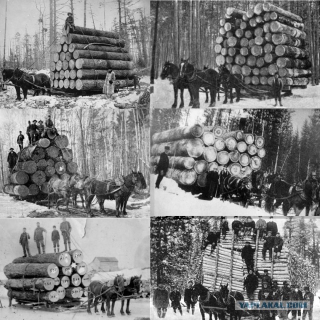 Фальшивая история человечества.
