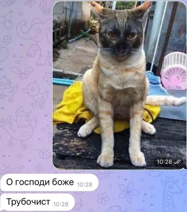 Ему так удобно⁠⁠