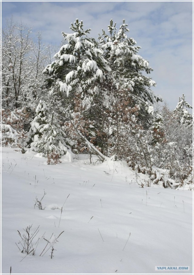 Крым. Терновка. Зимние дороги.