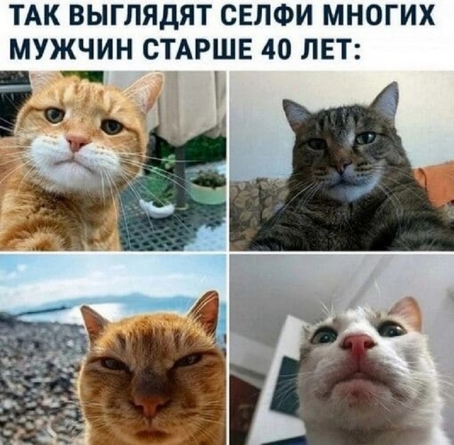 Картинки и мемы, всем хороших выходных